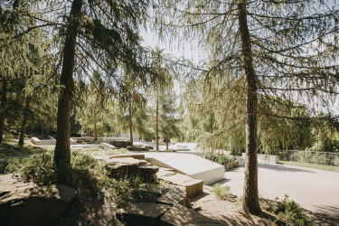 Der Skatepark mit Treppen und Hindernissen liegt mitten in einem Nadelwald.